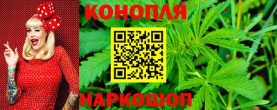 сатива Будённовск