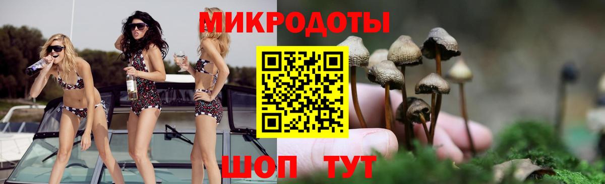 Галлюциногенные грибы прущие грибы Евпатория